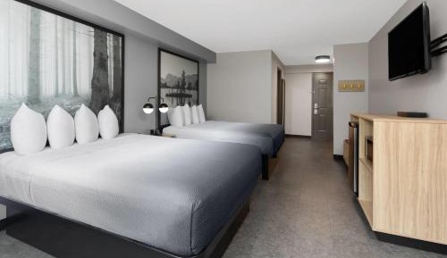 Queen Room with Two Queen Beds - Mobility Access/Pet-Friendly/Non-Smoking