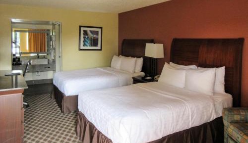 Standard Double Room with Two Double Beds - Non-Smoking