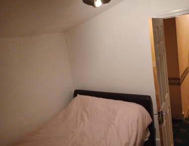 King Room with Garden View