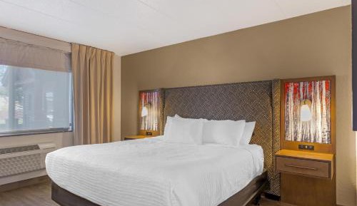 King Room with Roll-In Shower - Disability Access