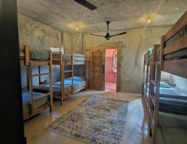 Bed in 8-Bed Mixed Dormitory Room