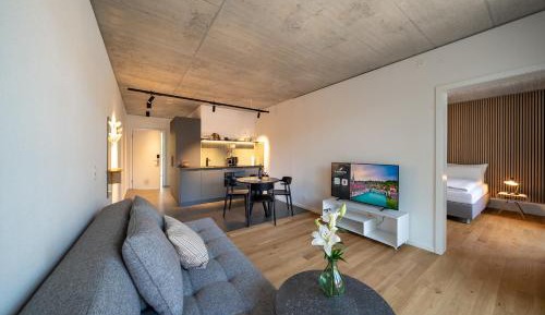 Deluxe One-Bedroom Apartment