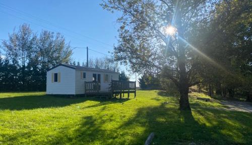 Mobile Home