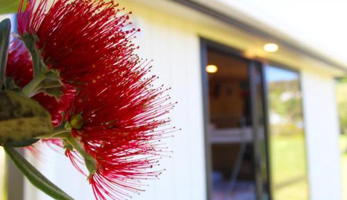 Budget Double or Twin Room