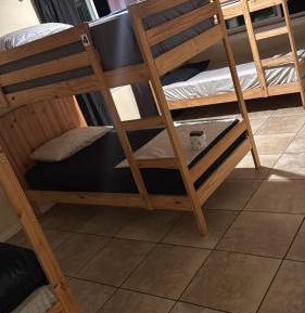 Bunk Bed in Mixed Dormitory Room