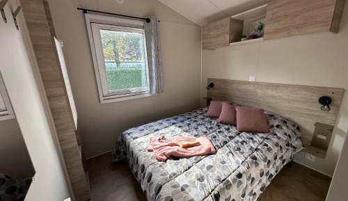 Mobile Home