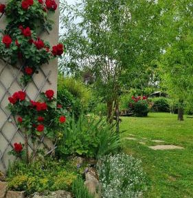 Apartment with Garden View