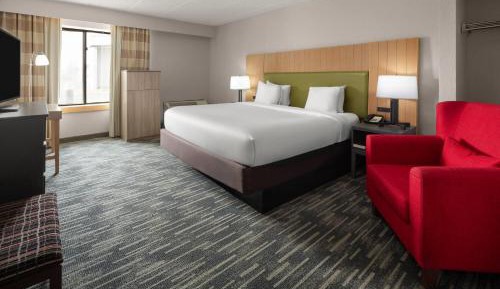King Room with Mobility Access and Bathtub with Grab Bars, Non-Smoking