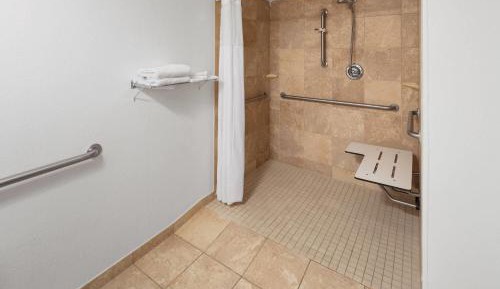 King Room with Roll-in Shower - Mobility Access/Non-Smoking