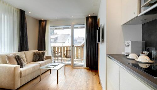 One-Bedroom Apartment with Balcony and Mountain View  