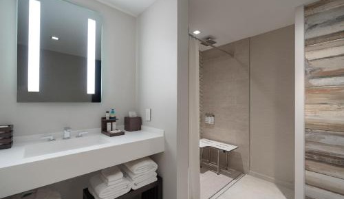 King Room with Sofa Bed - Mobility and Hearing Accessible with Roll-in Shower