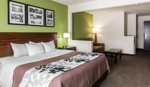 King Suite - Non-Smoking