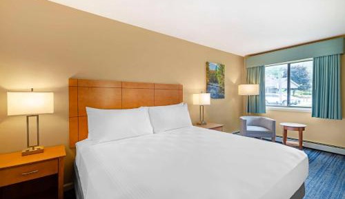 One-Bedroom King Suite with Sofa Bed and Kitchen