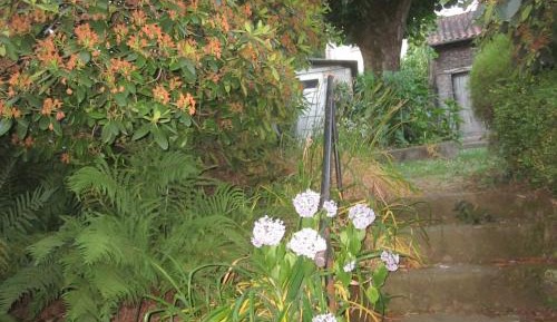 Two-Bedroom Apartment with Garden View