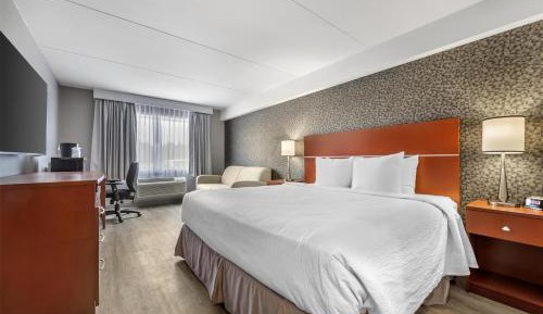 Deluxe King Room with Sofa Bed - Non-Smoking