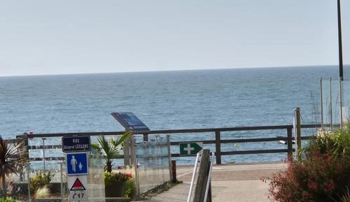 Suite with Sea View