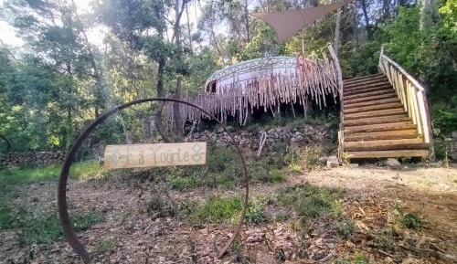 Studio with Garden View