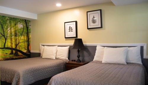 Double Room with Two Double Beds - 1 Dog allowed