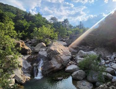 Single Bed in Mixed Dormitory Room