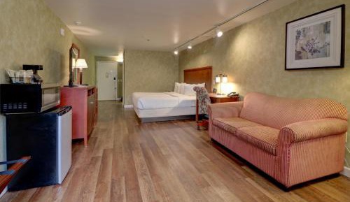 Premium 1 King, Pet-friendly