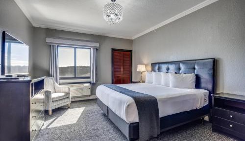 King Suite with Pool View - Disability Access/Non Smoking