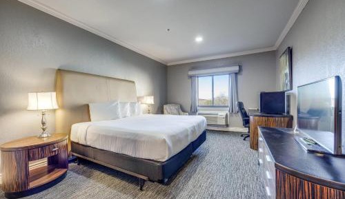 King Room with Roll-In Shower - Disability Access/Non Smoking