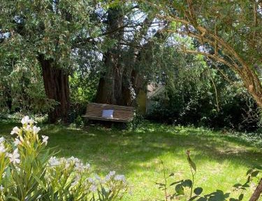 Double or Twin Room with Garden View