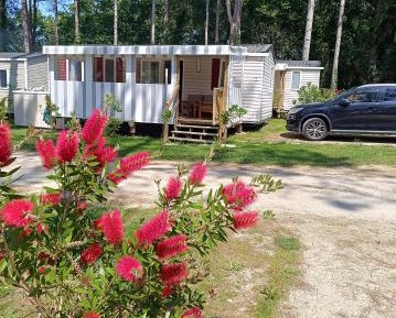 Mobile Home