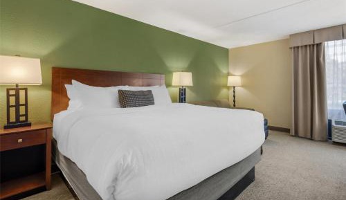 King Room with Sofa Bed