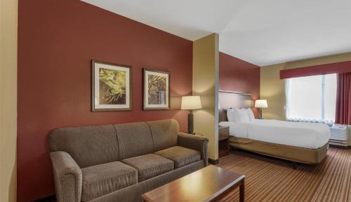 King Suite with Bath Tub and Sofa Bed - Disability Access/Non-Smoking