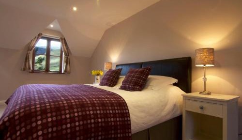 Superior Double or Twin Room with Lake View - Wnion