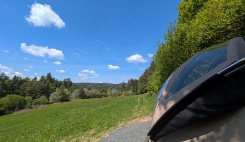 King Room with Garden View