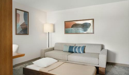 King Suite with Park View and Trundle Sofa