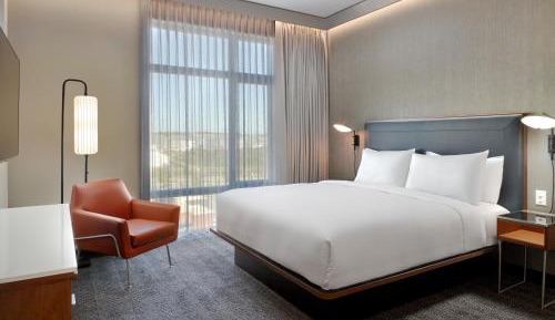 One-Bedroom King Suite with Sofa Bed