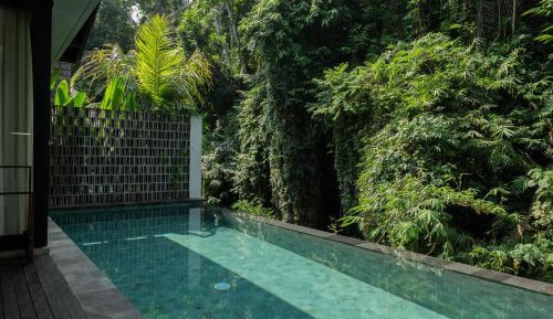One-Bedroom Private Pool Villa with River View and Free Benefits 