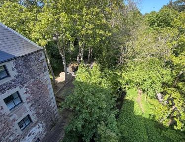 King Suite with Spa Bath