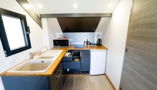 Studio with Mountain View