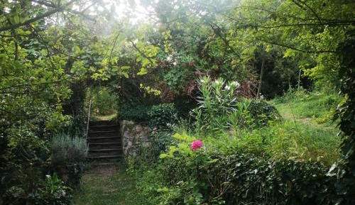 Double Room with Garden View