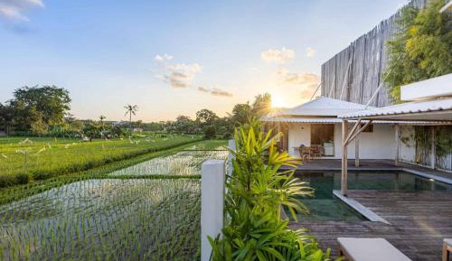 Three-Bedroom Villa