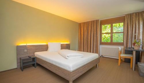 Large Single Room
