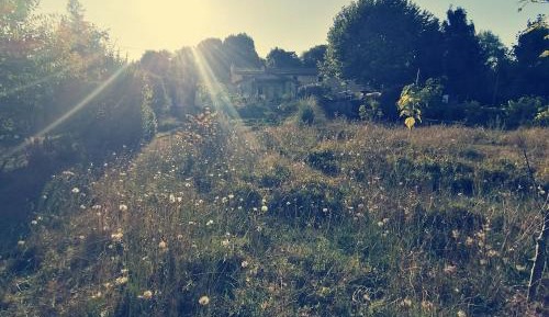 Double Room with Garden View
