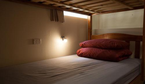 Bed in 6-Bed Dormitory Room