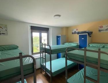 Bed in 6-Bed Mixed Dormitory Room