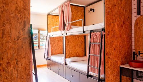 Single Bed in Female Dormitory Room