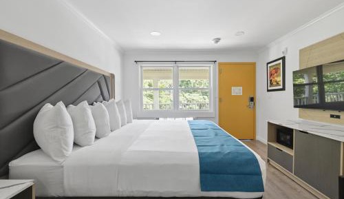 King Room - Disability Access