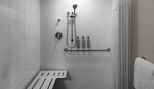 King Room with Mobility and Hearing Accessible Roll-In Shower