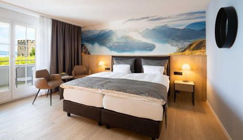 Single Room with Lake View