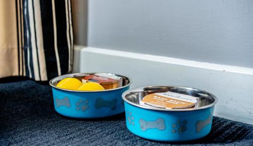 Double Accessible Guest Room