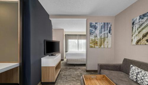 King Studio with Sofa Bed