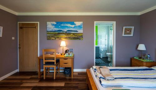 King Room with Lake View